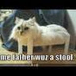 Meet your Posher, Darkkcat94